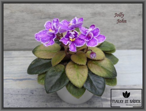 Jolly John